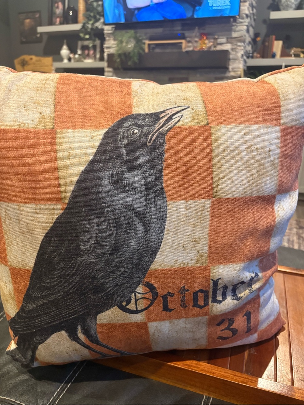 Pottery Barn Halloween Raven October 31 Checkered Pillows Pair 20x20
